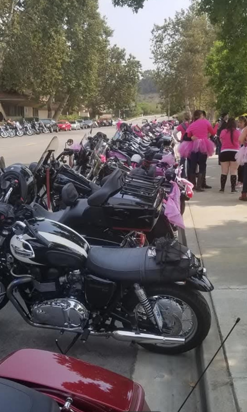 Long line of motorcycles parked under the trees with riders in pink nearby