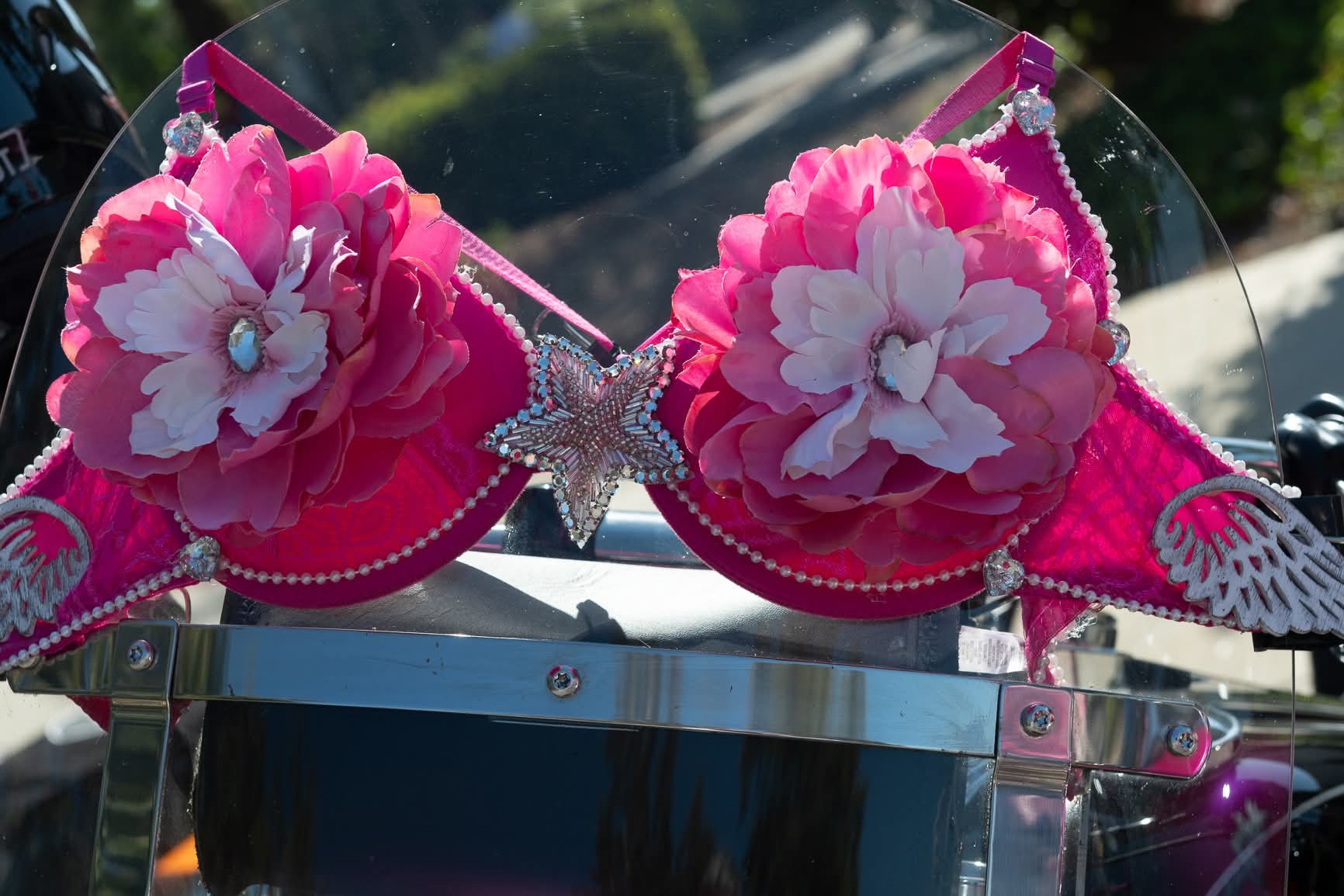 Hot pink flower-covered bra decorating a motorcycle windshield